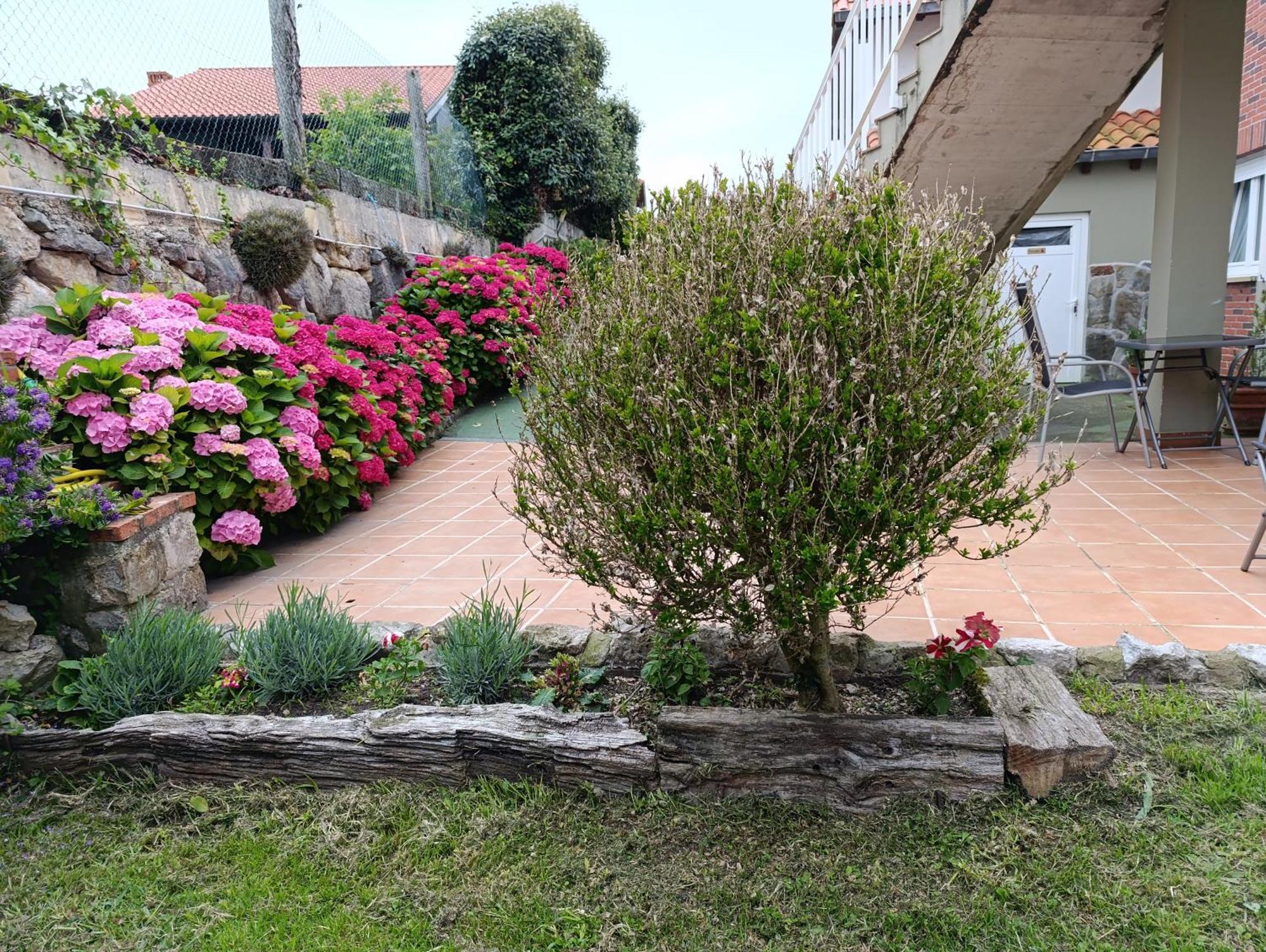 Appartement Guadalupe Tagle