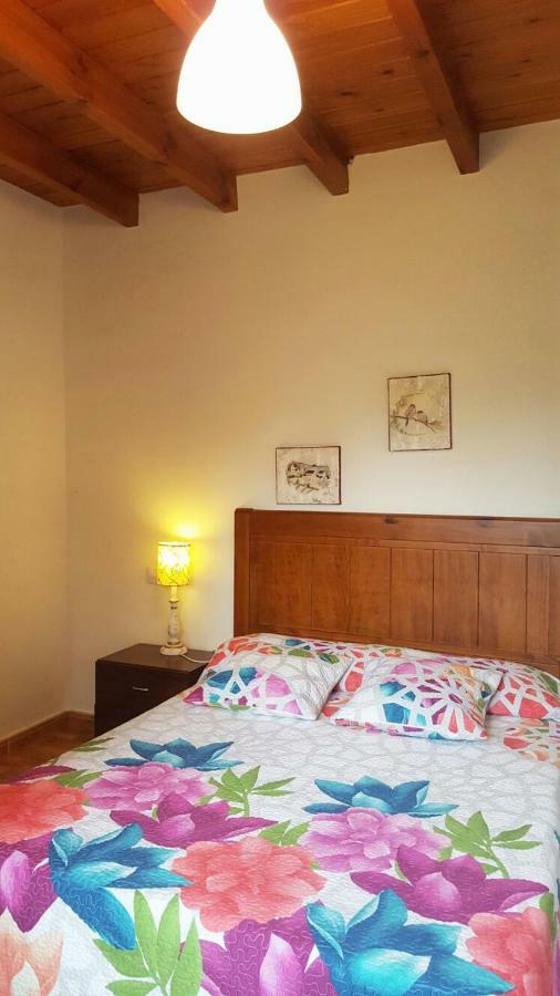Apartment Guadalupe Tagle